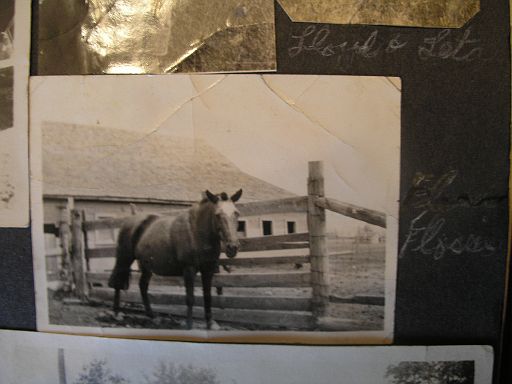 Ina's horse Flossie